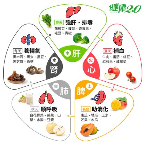 五行食物表|【中醫養生】五行五色食療：五色食物的健康奧秘